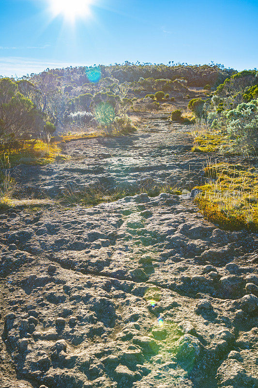 La Roche Écrite，上升的最后一部分。留尼旺岛徒步旅行路线，火山景观。